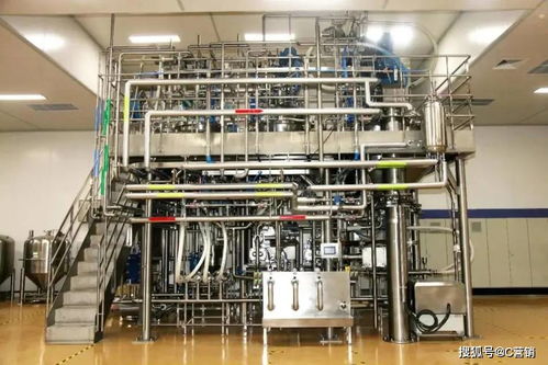 隆力奇智能化转型 从日化巨头到智汇变革的投影布局